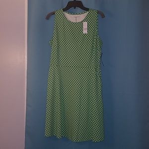 New York & co. checkered green and white dress